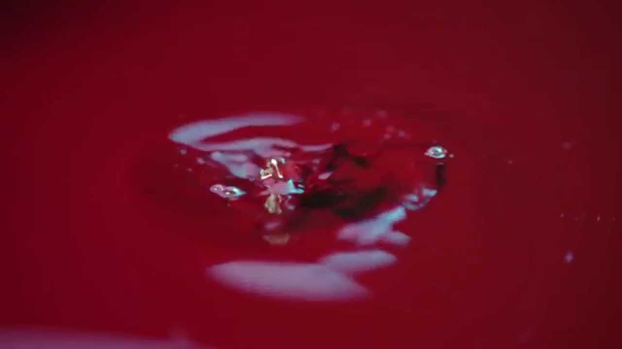 WONDER WHERE WE LAND ALBUM TEASER