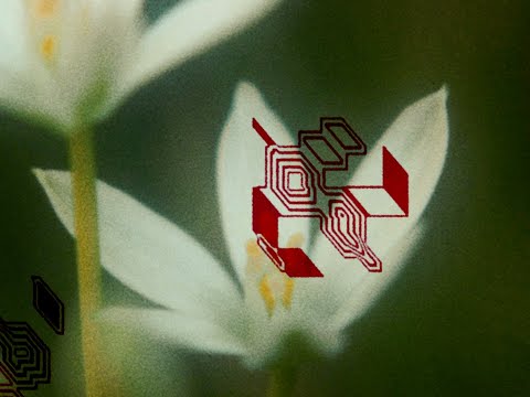 Oneohtrix Point Never & Elizabeth Fraser - Tales From The Trash Stratum (Official Visual)
