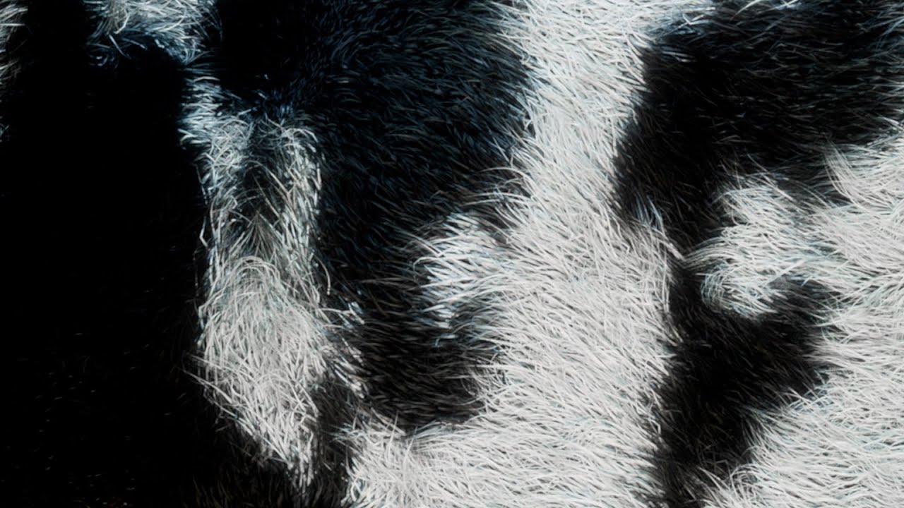 Blawan - Toast