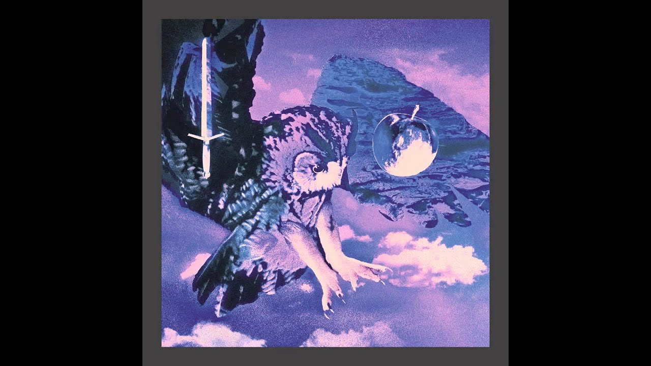 Palmbomen - 17