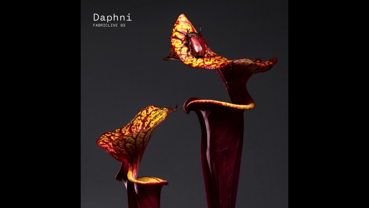 Daphni - Medellin (Audio)