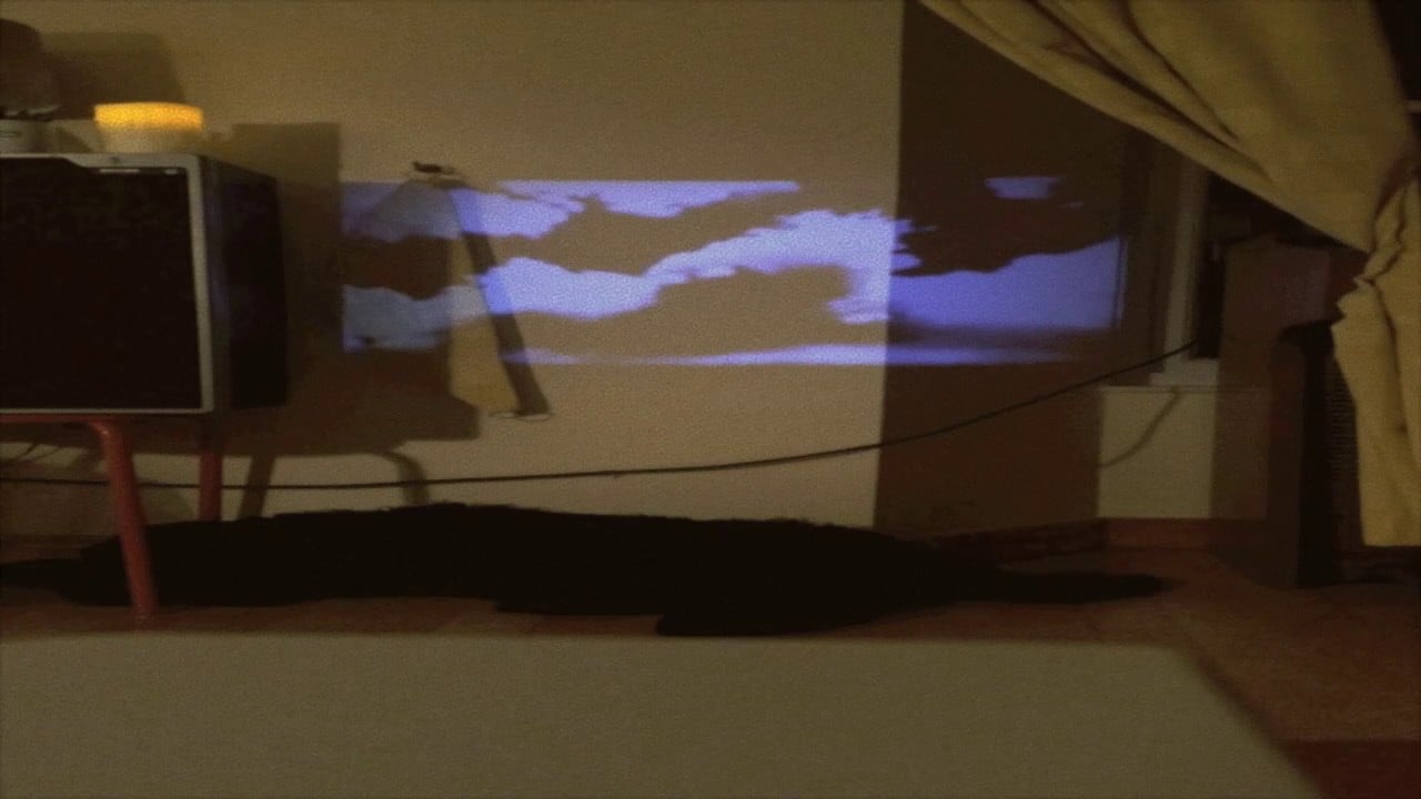 We, the Oceanographers - I Can't Give You Both
