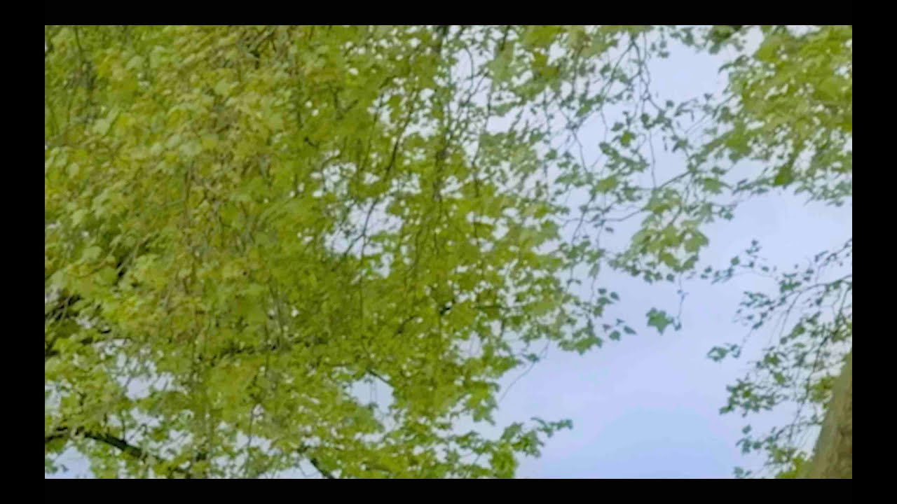 Mica Levi- slob air