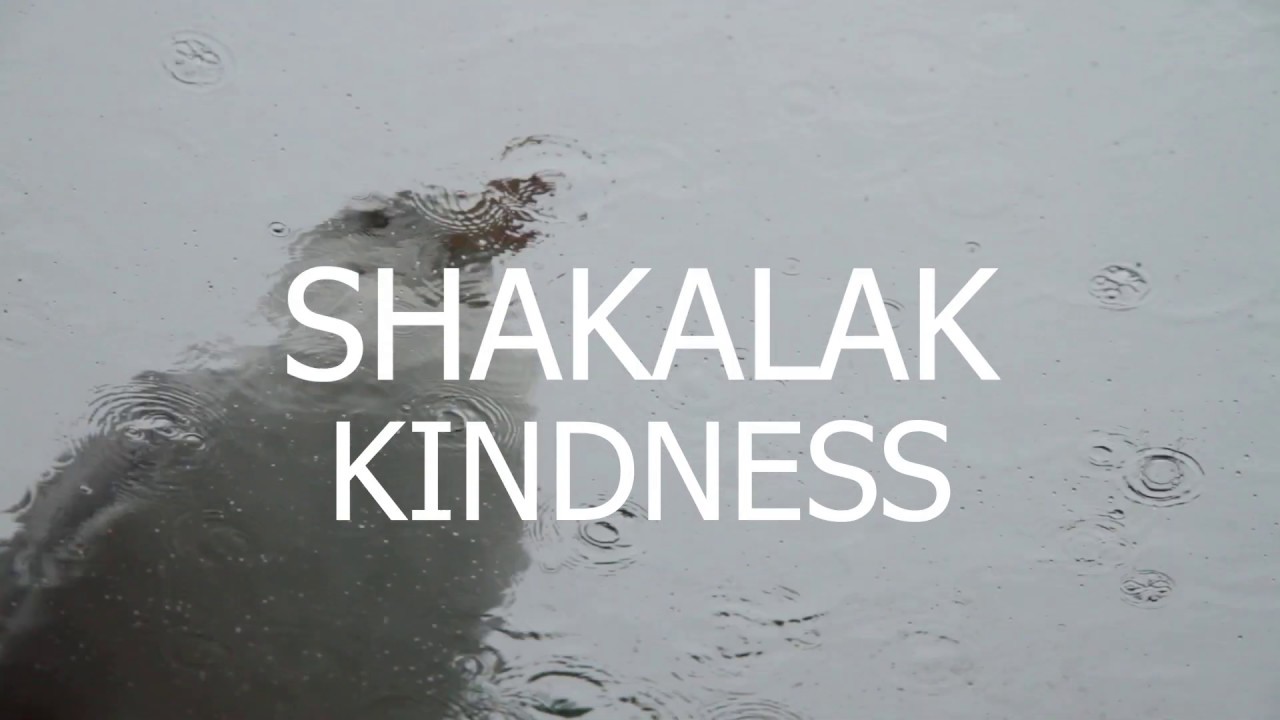 Shakalak - Kindness