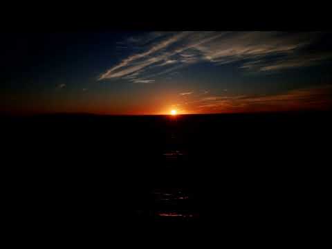 Warpaint - Champion (Visualiser)