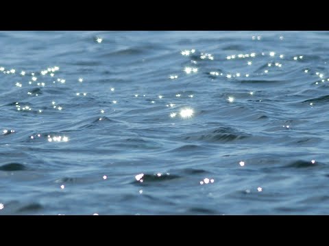 Jayda G - 'Blue Lights' (Official Visualiser)