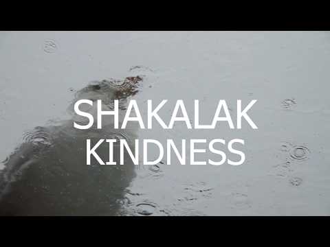 Shakalak - Kindness