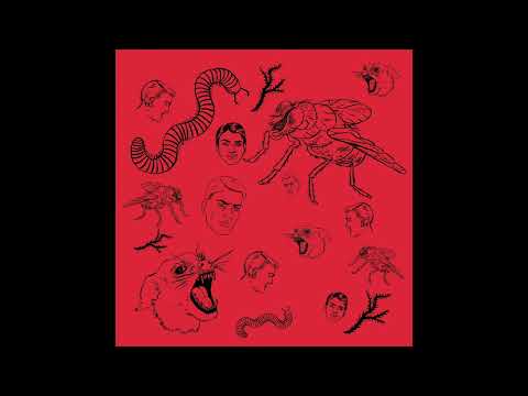 Bush Tetras - "Things I Put Together"