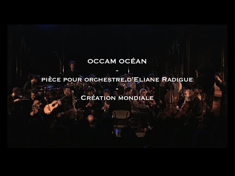 Eliane RADIGUE - OCCAM OCEAN - ONCEIM (excerpt)