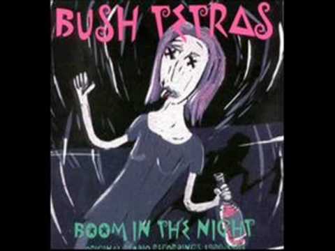 Bush Tetras - You Can't Be Funky