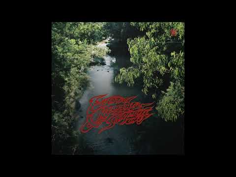Surprise Chef - Iconoclasts