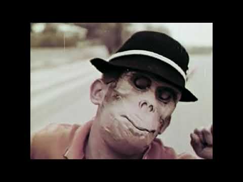 The Shaker Hymn - Colour Of The Holy Sun