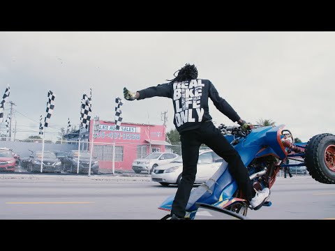 Sufjan Stevens, Lowell Brams - The Runaround [Official Video]