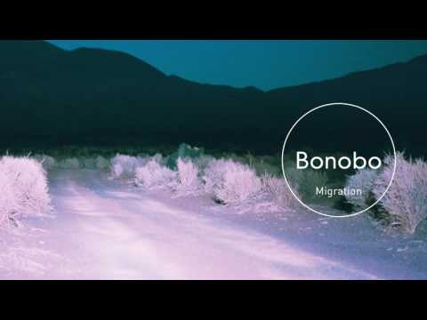 Bonobo : Outlier