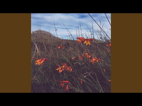Faoin Tuath (feat. Madelyn Monaghan)