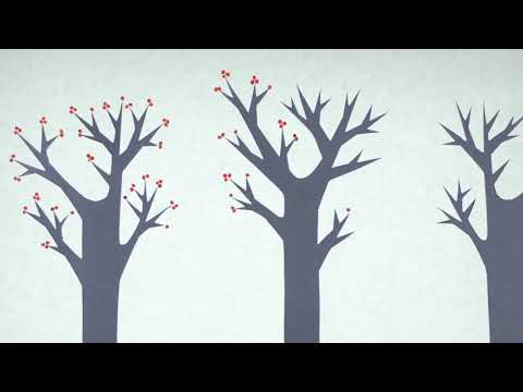 Ye Vagabonds - I Courted a Wee Girl (unofficial video directed by Ann Upton)