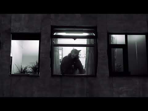 Curtisy - Nothing Is Precious (Visualiser)