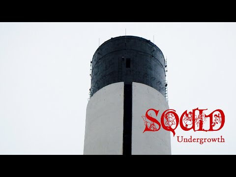 Squid - Undergrowth (Official Audio)