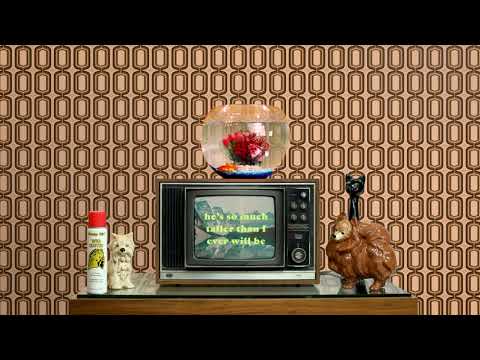 Matt Maltese - Like A Fish [Official Lyric Video]