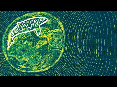 Superorganism - Sprorgnsm (Audio)