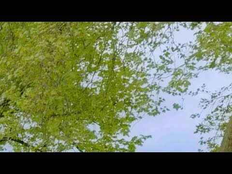 Mica Levi- slob air