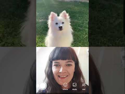 Dott - Extra Introvert (Vertical Video)