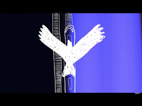 Real Lies – Ultraviolet [Official Video]