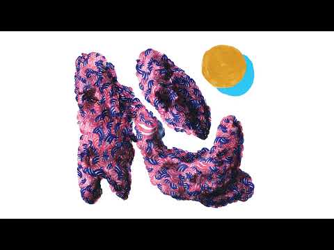 Teebs - 'Did It Again (feat. Panda Bear)' (Official Audio)