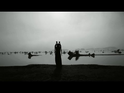 Young Wonder // Enchanted (Official Video)