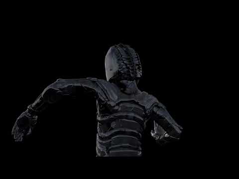 ALYXIS - LEADER