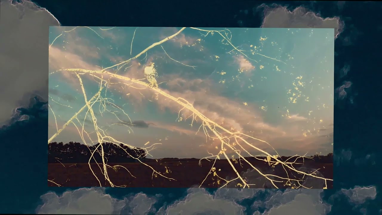 SHADOWLANDS feat. S. Carey & John Raymond - Calling (Official Video)