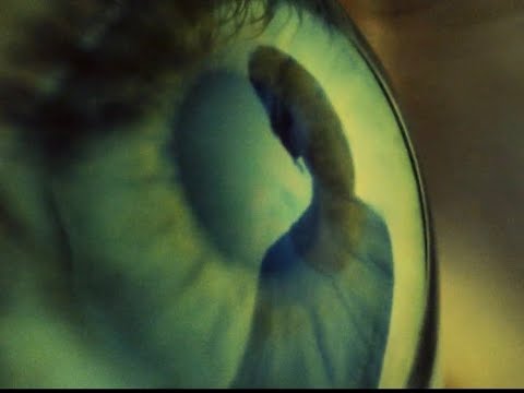 Just Mustard - Still (Official Video)