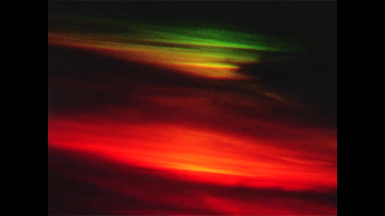 Solar Bears 'Supermigration' film