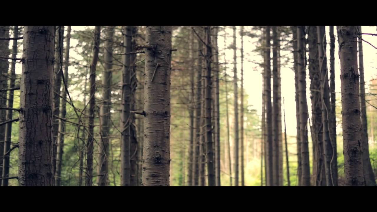 Tiz McNamara - Take It In (Official Music Video).