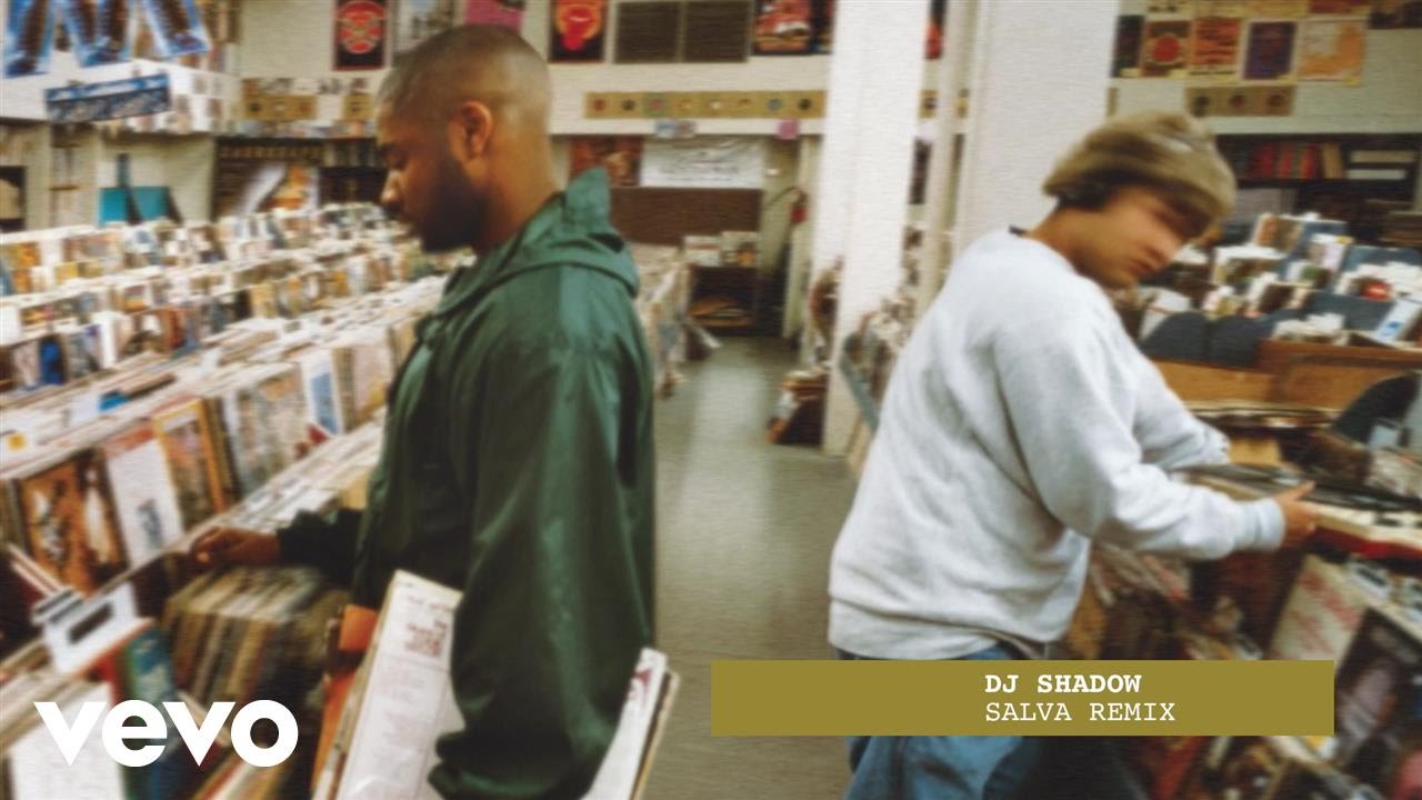 DJ Shadow - Building Steam With A Grain Of Salt (Salva Remix)
