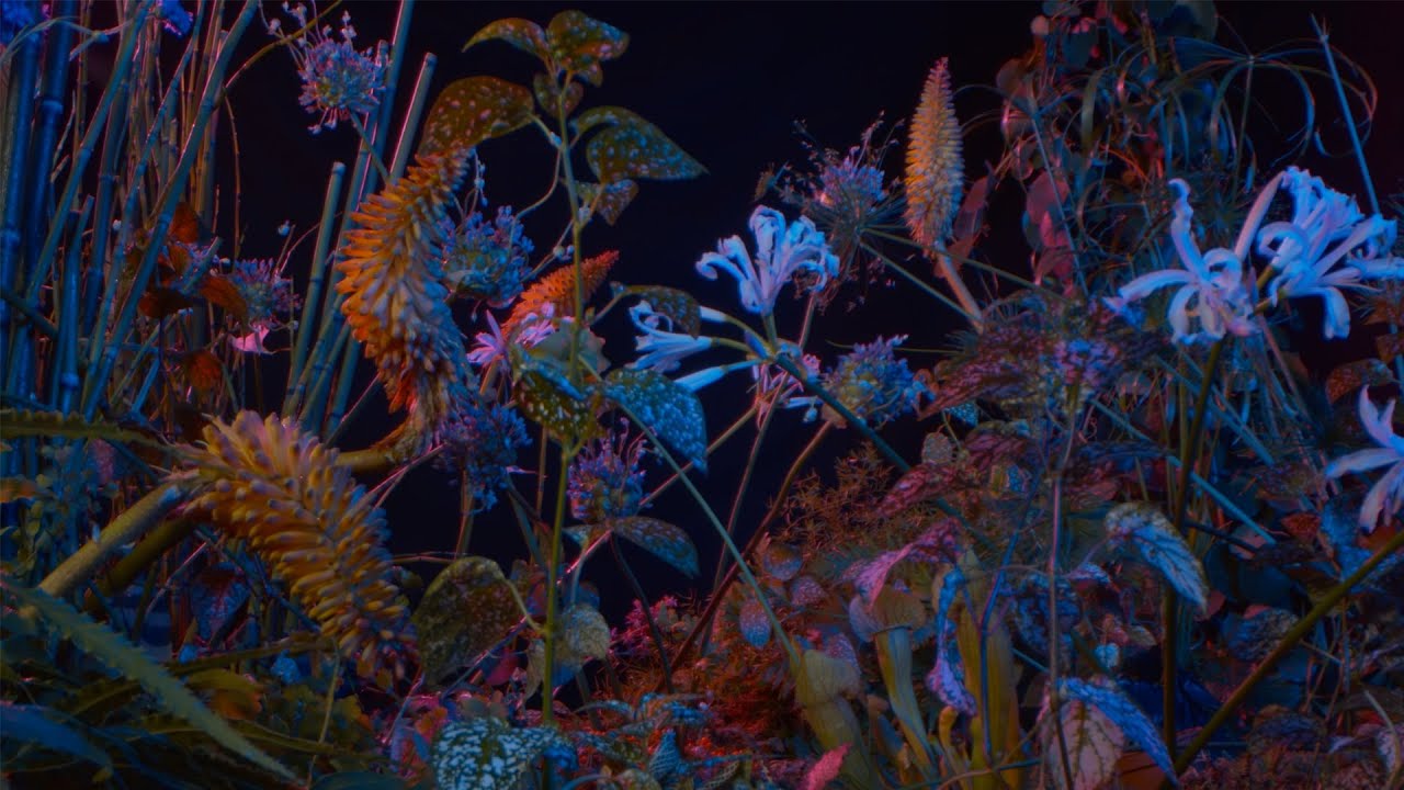 Floating Points - Last Bloom (Official Video)