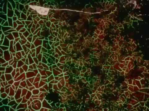 DJ SEINFELD - Time Spent Away From U