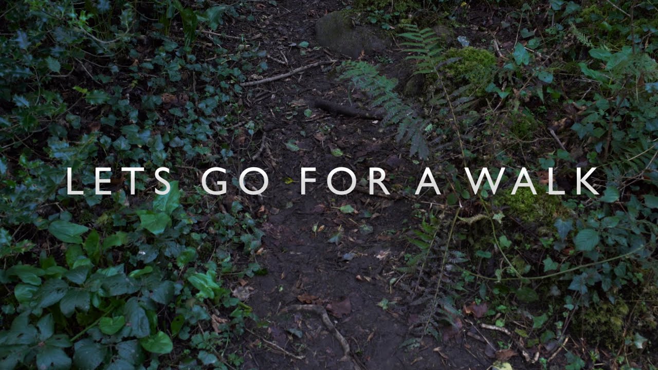 Rain On Tent  -  Lets Go For A Walk