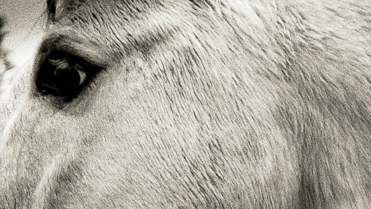 Bonny Light Horseman – "Bonny Light Horseman" (Official Audio)