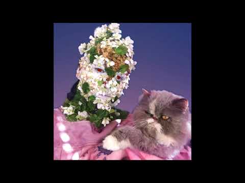Kiwi - Hit Me [POL001]