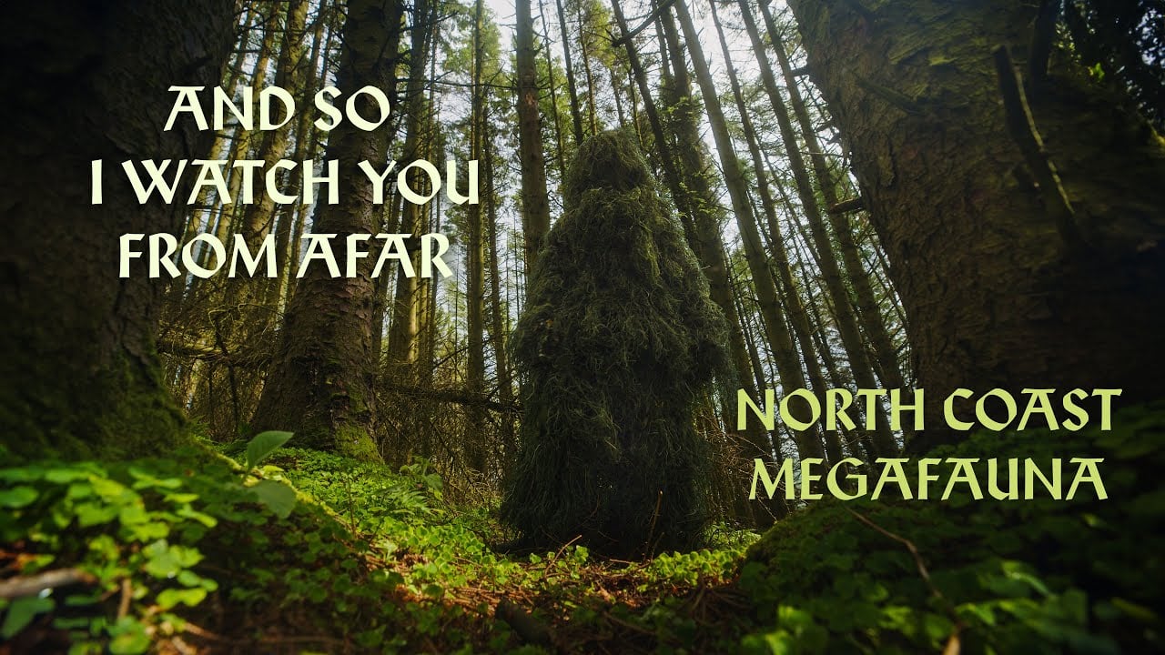 AND SO I WATCH YOU FROM AFAR - North Coast Megafauna - Music Video
