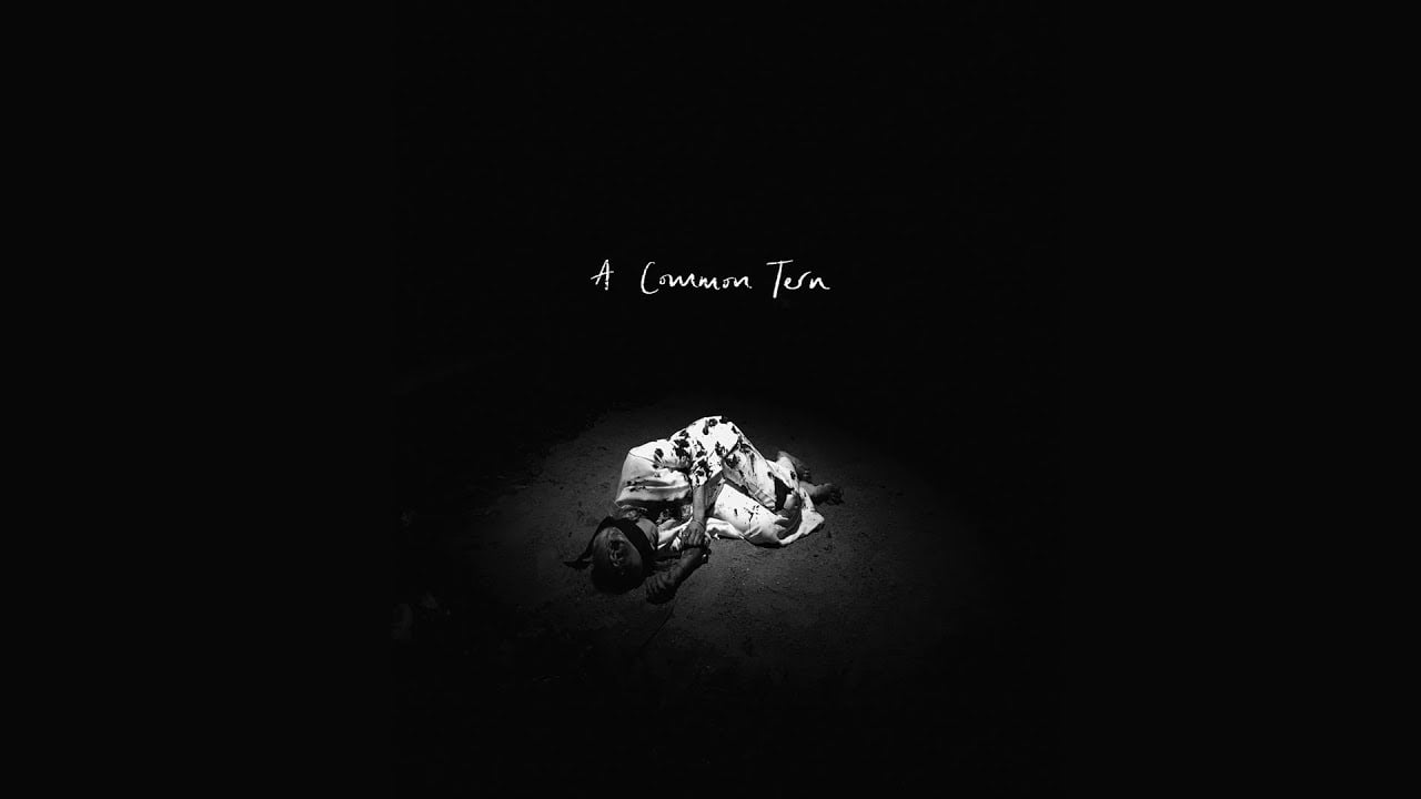 Anna B Savage - A Common Tern (Official Video)
