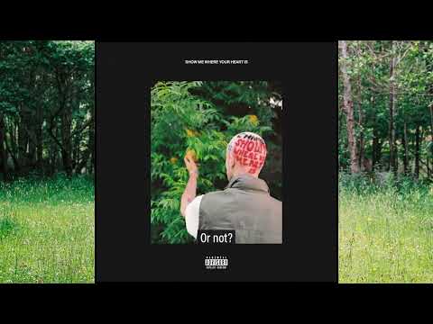CHAMELEON 'Show Me Where Your Heart Is' (Lyric Video)