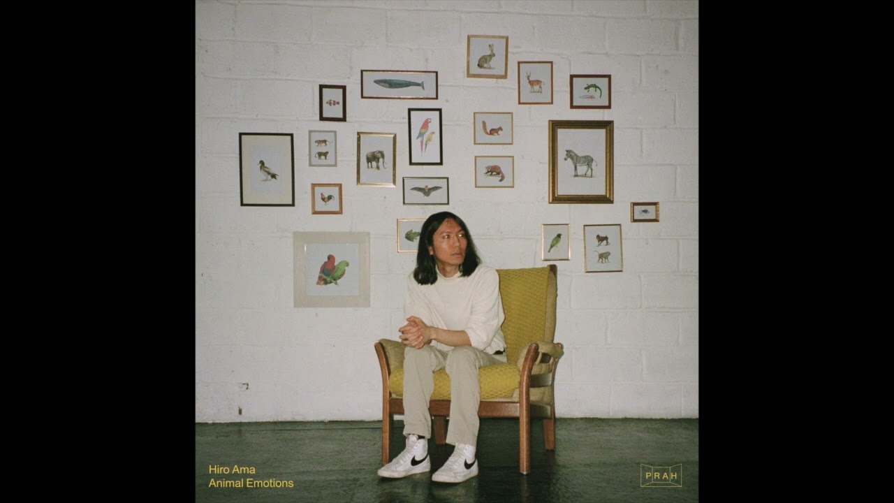 Hiro Ama - Free Soul