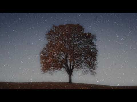 Sense of Smell - SENSiTiZER