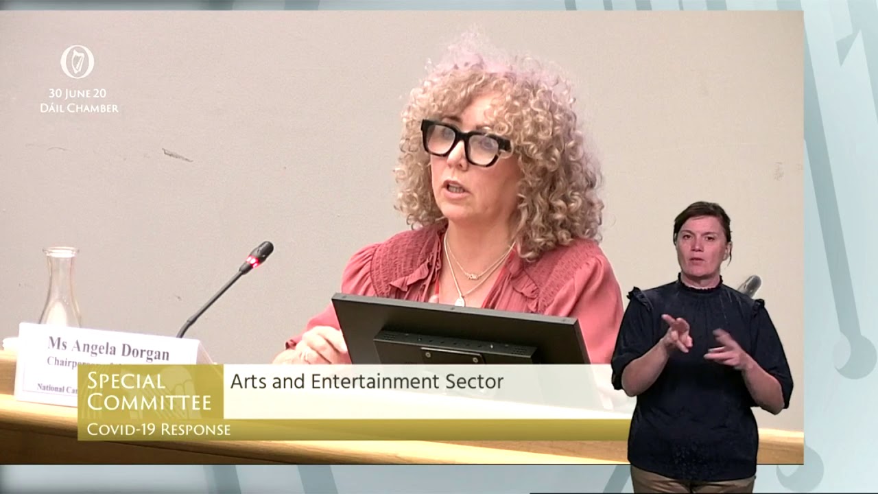 Oireachtas Committee Meeting - Arts and Entertainment Sector 30/6/20