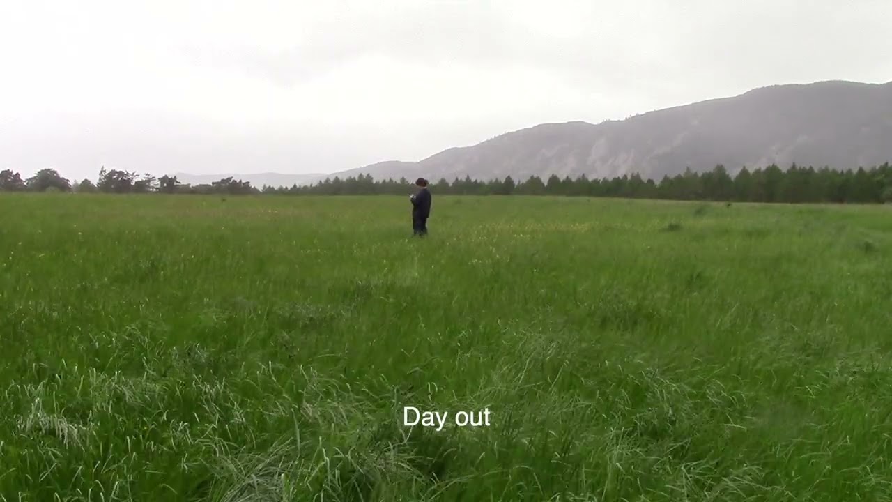 Katie Gregson-MacLeod - Chess (Lyric Video)