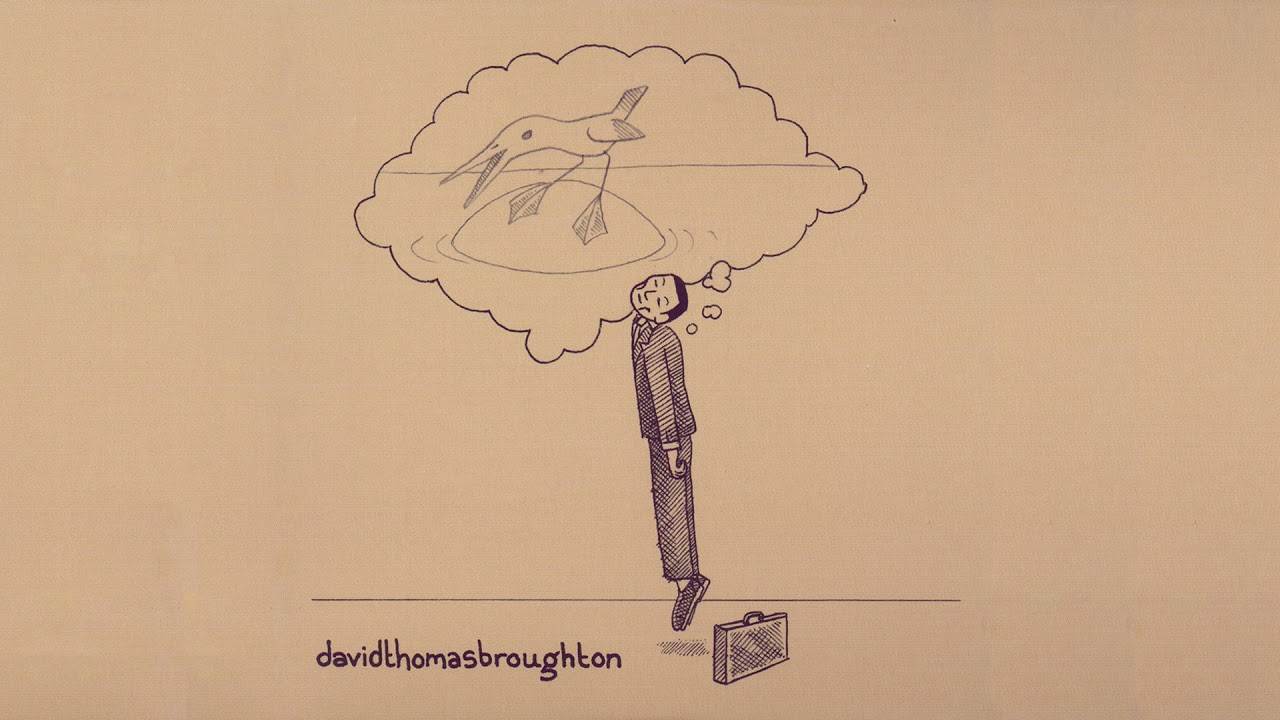 David Thomas Broughton - The Complete Guide to Insufficiency [Full Album]