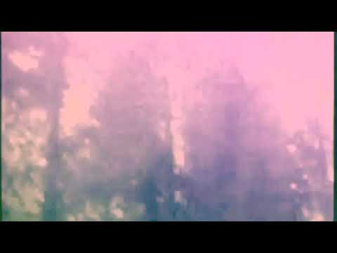 Roy Montgomery & Elaine Malone -  Electric Turbulence