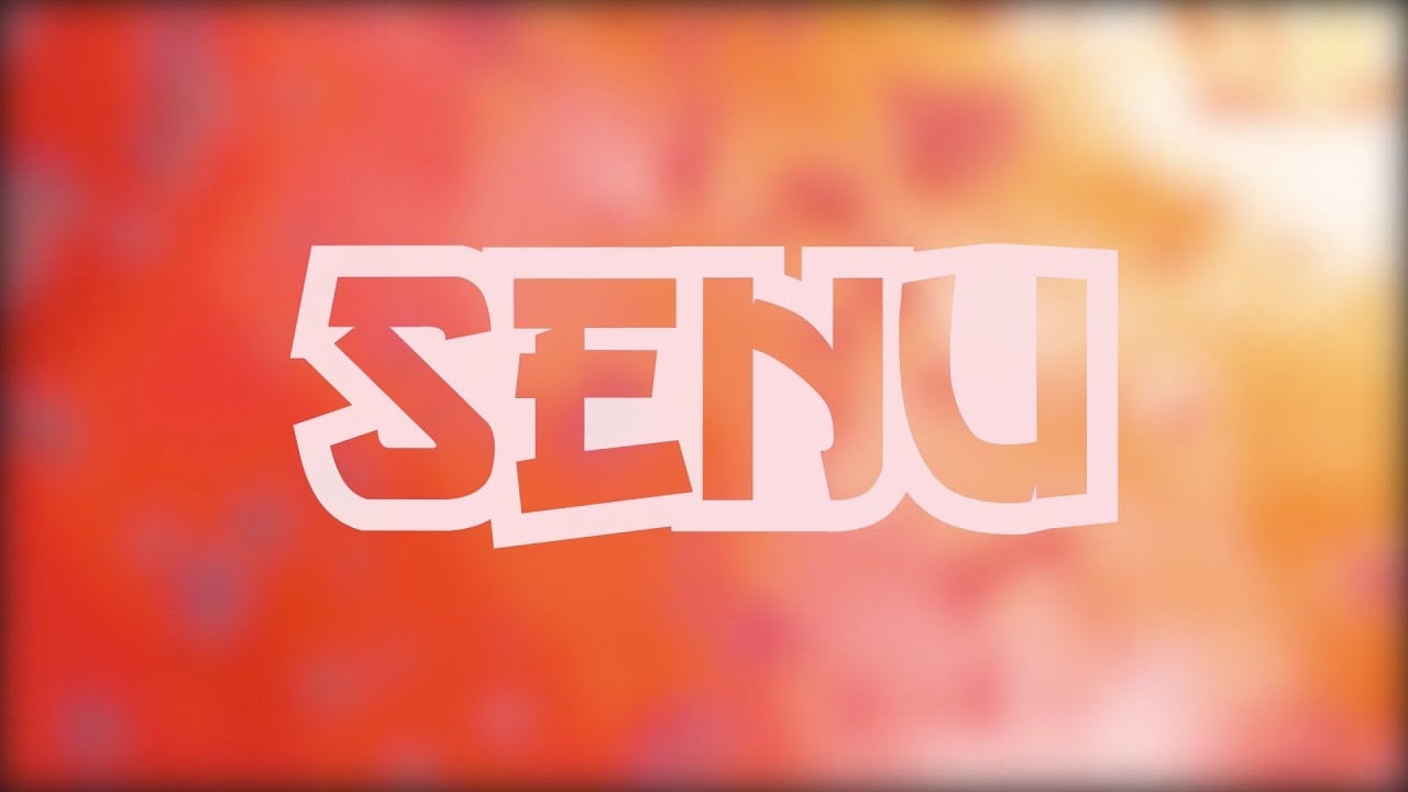 SENU - S3 feat. Jamel Franklin (Official Lyric Video)